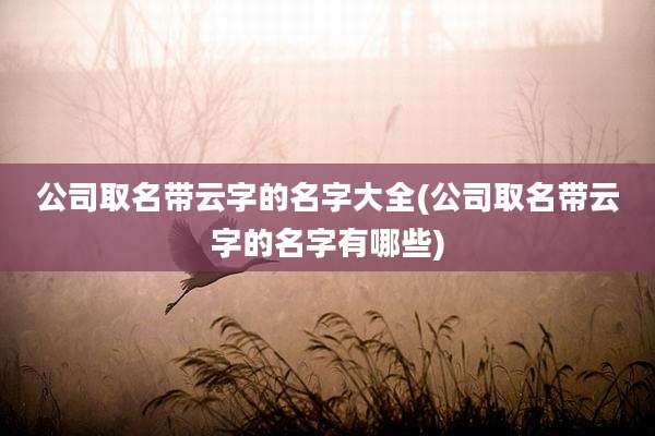 公司取名带云字的名字大全(公司取名带云字的名字有哪些)