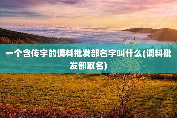 一个含传字的调料批发部名字叫什么(调料批发部取名)