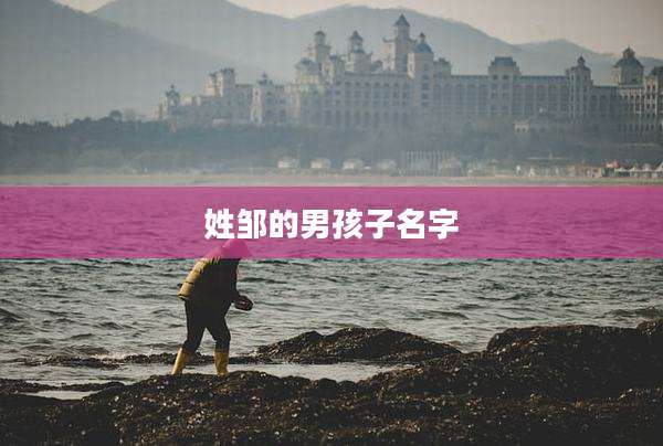 姓邹的男孩子名字