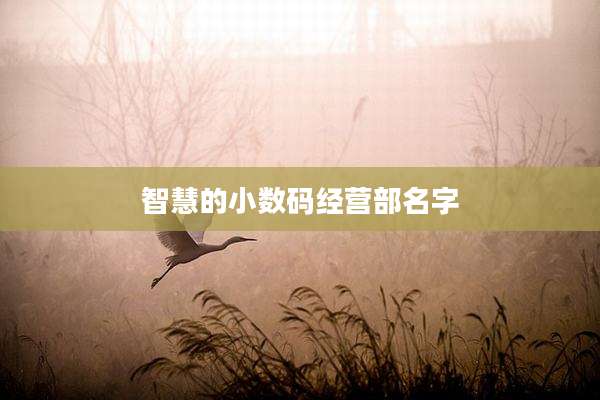 智慧的小数码经营部名字
