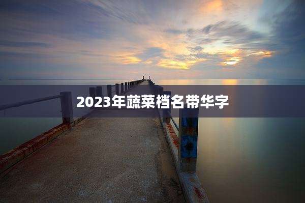2023年蔬菜档名带华字