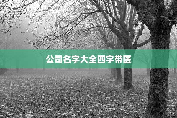 公司名字大全四字带医