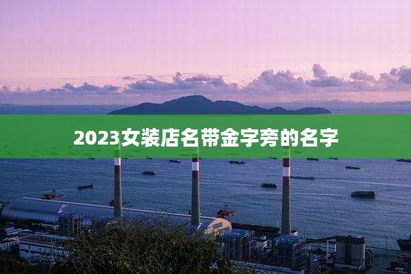 2023女装店名带金字旁的名字
