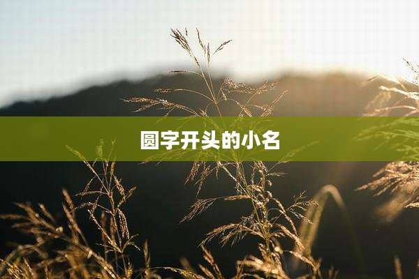 圆字开头的小名