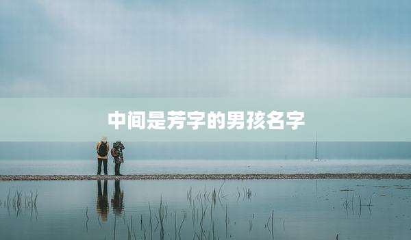 中间是芳字的男孩名字