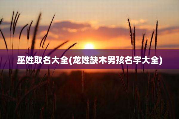 巫姓取名大全(龙姓缺木男孩名字大全)