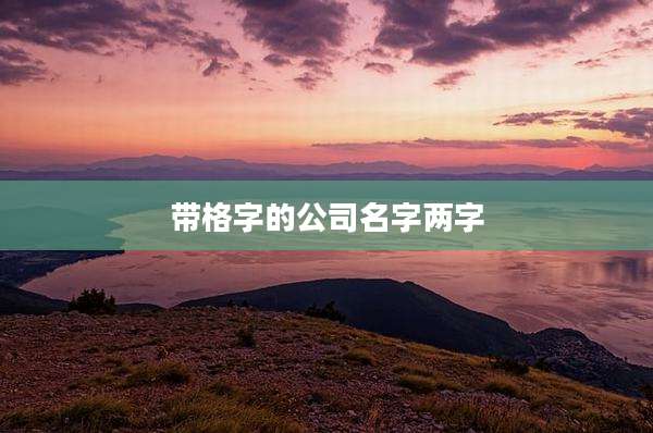 带格字的公司名字两字