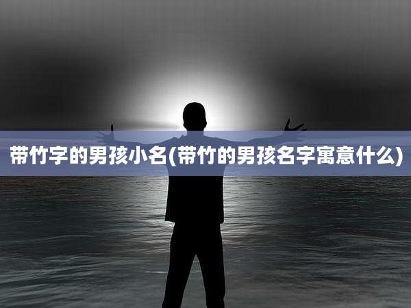 带竹字的男孩小名(带竹的男孩名字寓意什么)