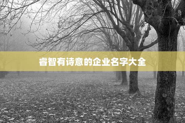 睿智有诗意的企业名字大全