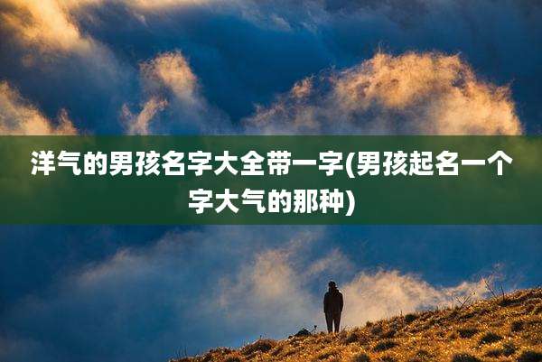 洋气的男孩名字大全带一字(男孩起名一个字大气的那种)