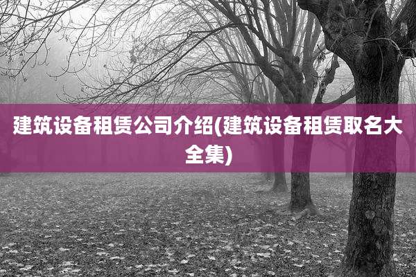 建筑设备租赁公司介绍(建筑设备租赁取名大全集)