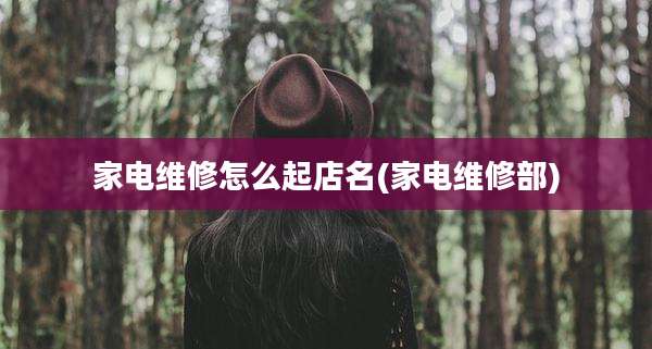 家电维修怎么起店名(家电维修部)