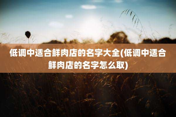 低调中适合鲜肉店的名字大全(低调中适合鲜肉店的名字怎么取)