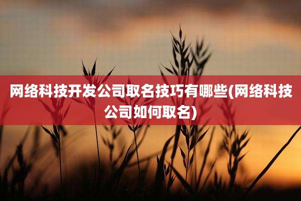 网络科技开发公司取名技巧有哪些(网络科技公司如何取名)