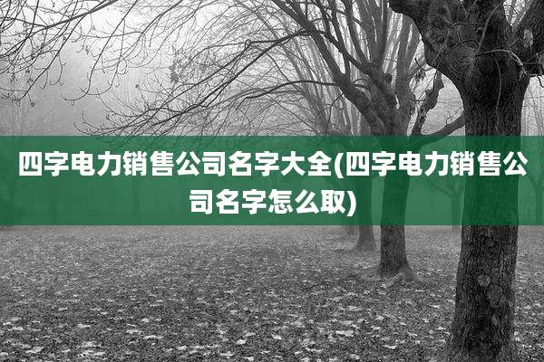 四字电力销售公司名字大全(四字电力销售公司名字怎么取)