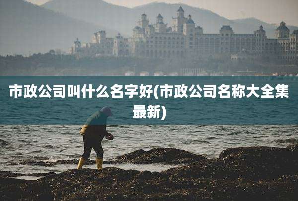 市政公司叫什么名字好(市政公司名称大全集最新)