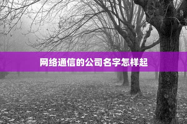 网络通信的公司名字怎样起