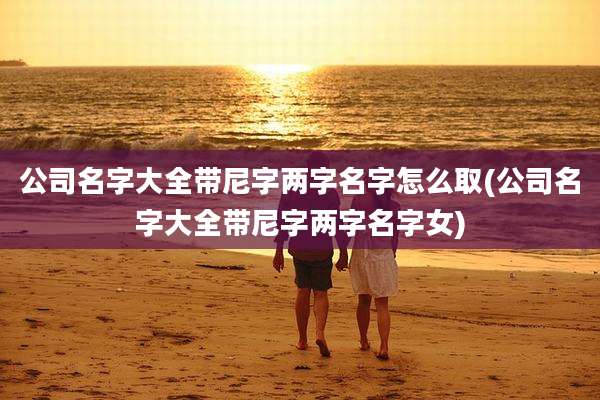 公司名字大全带尼字两字名字怎么取(公司名字大全带尼字两字名字女)