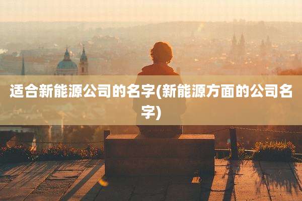 适合新能源公司的名字(新能源方面的公司名字)