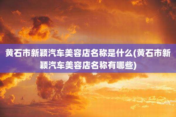 黄石市新颖汽车美容店名称是什么(黄石市新颖汽车美容店名称有哪些)