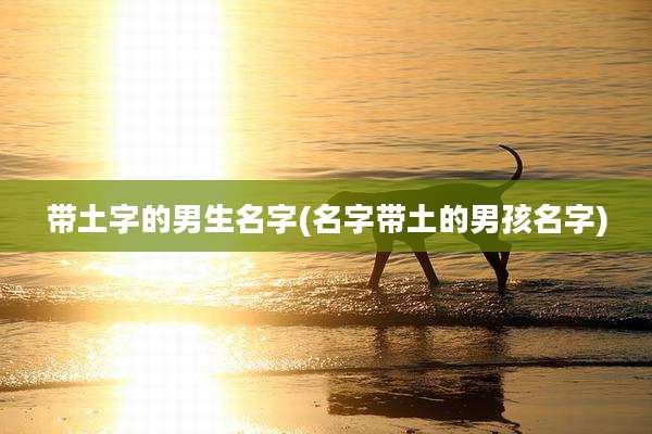 带土字的男生名字(名字带土的男孩名字)