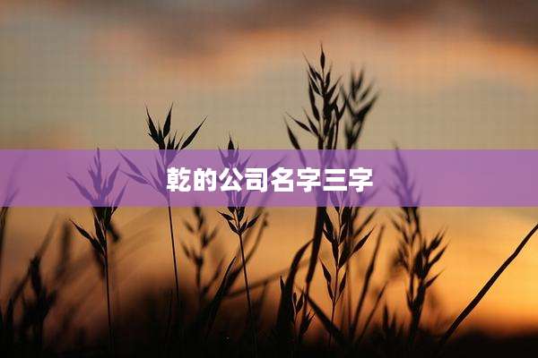 乾的公司名字三字