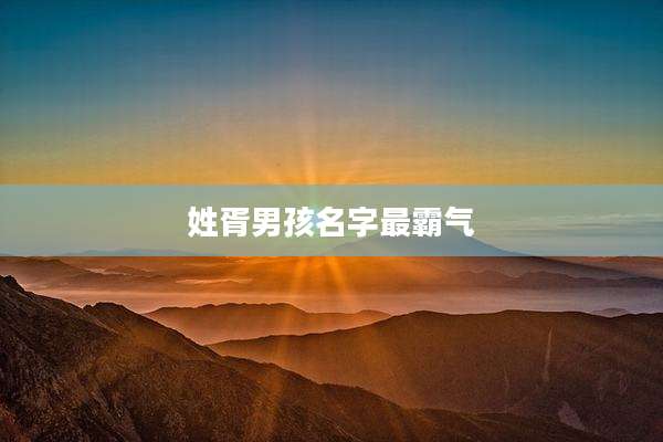 姓胥男孩名字最霸气