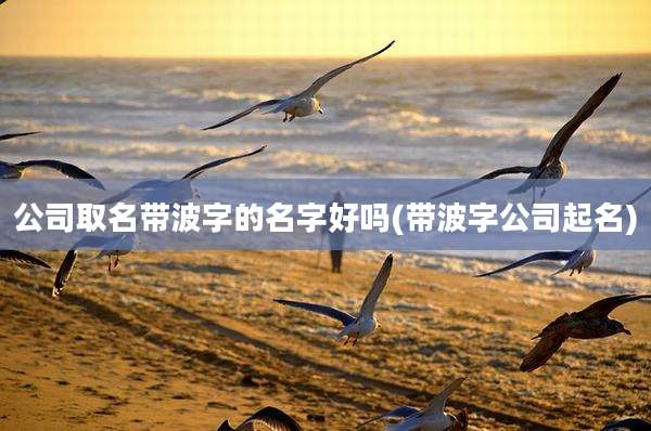 公司取名带波字的名字好吗(带波字公司起名)