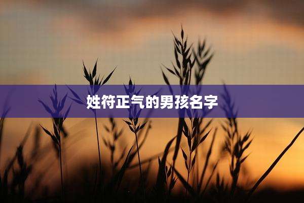 姓符正气的男孩名字
