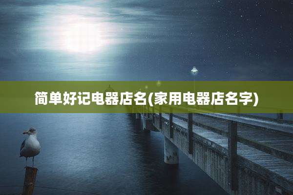 简单好记电器店名(家用电器店名字)