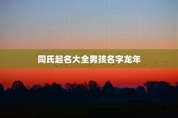 同氏起名大全男孩名字龙年