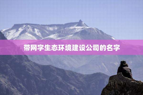 带网字生态环境建设公司的名字