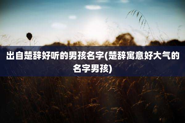 出自楚辞好听的男孩名字(楚辞寓意好大气的名字男孩)