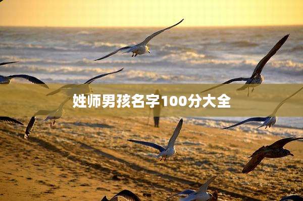 姓师男孩名字100分大全