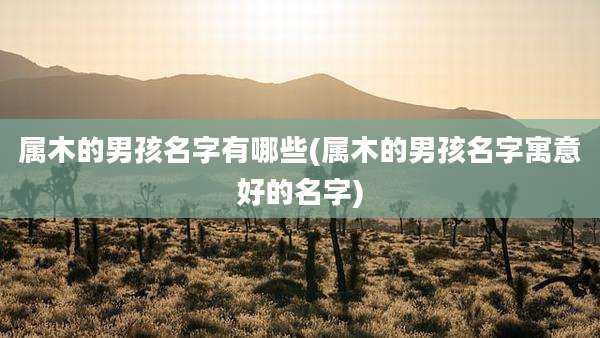 属木的男孩名字有哪些(属木的男孩名字寓意好的名字)