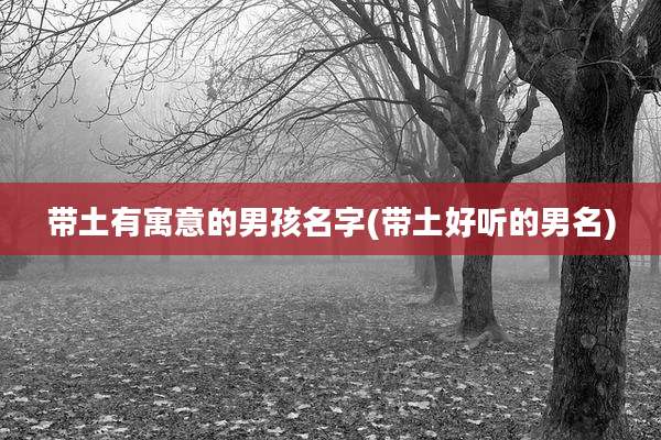 带土有寓意的男孩名字(带土好听的男名)