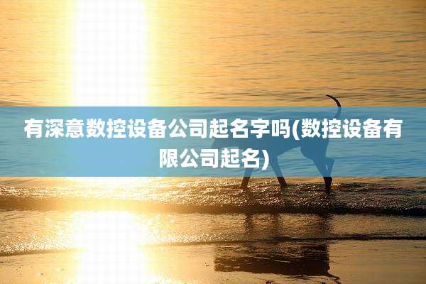 有深意数控设备公司起名字吗(数控设备有限公司起名)
