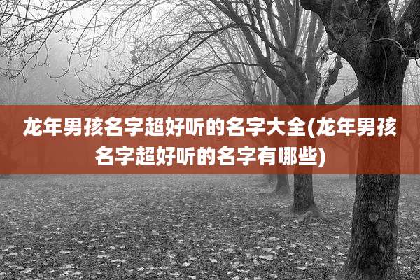 龙年男孩名字超好听的名字大全(龙年男孩名字超好听的名字有哪些)