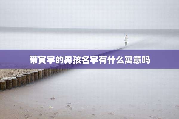 带寅字的男孩名字有什么寓意吗