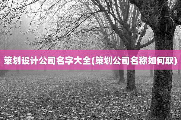 策划设计公司名字大全(策划公司名称如何取)