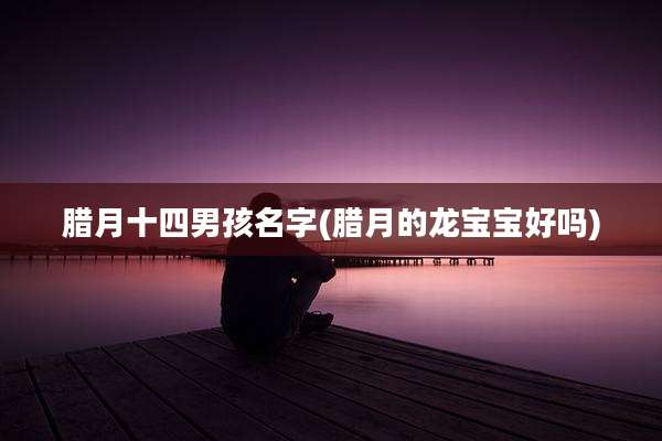腊月十四男孩名字(腊月的龙宝宝好吗)