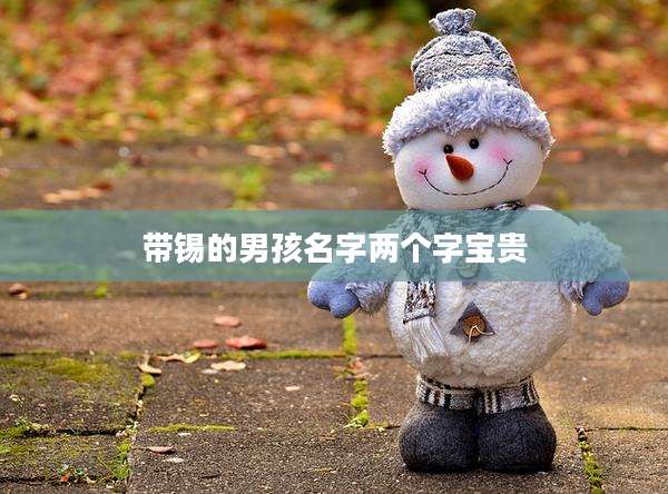 带锡的男孩名字两个字宝贵