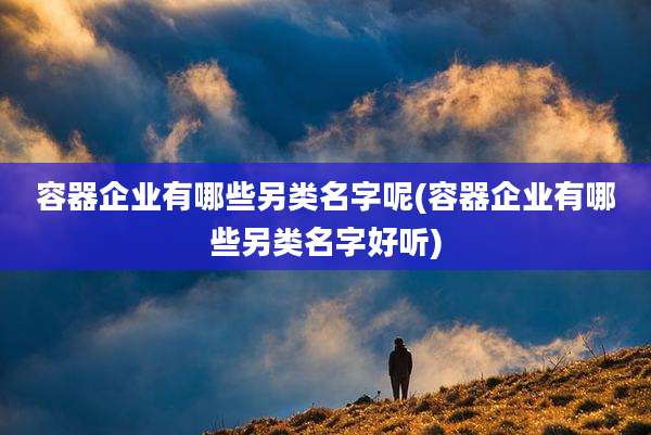 容器企业有哪些另类名字呢(容器企业有哪些另类名字好听)