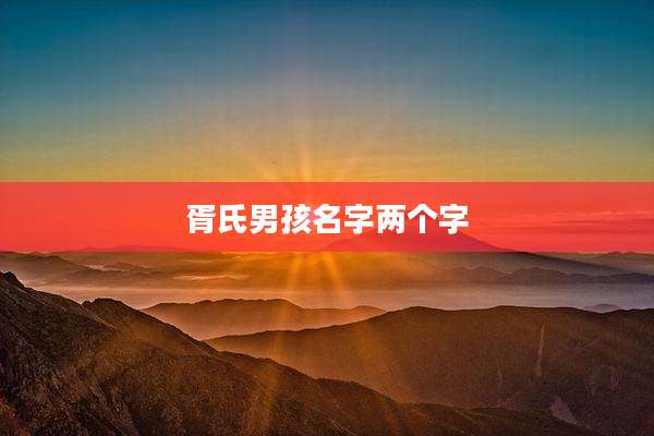 胥氏男孩名字两个字