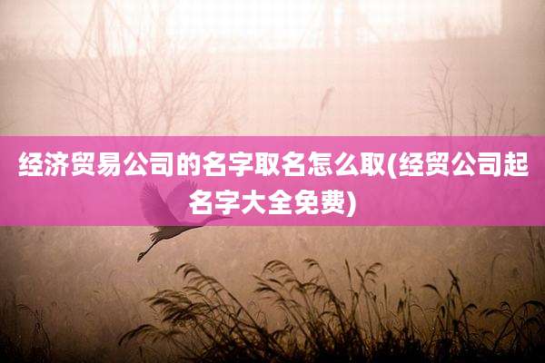 经济贸易公司的名字取名怎么取(经贸公司起名字大全免费)