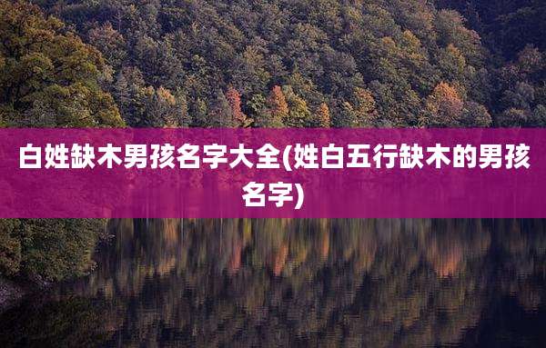 白姓缺木男孩名字大全(姓白五行缺木的男孩名字)