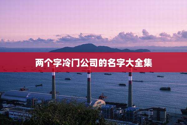 两个字冷门公司的名字大全集