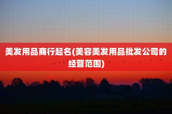 美发用品商行起名(美容美发用品批发公司的经营范围)