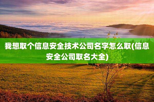我想取个信息安全技术公司名字怎么取(信息安全公司取名大全)