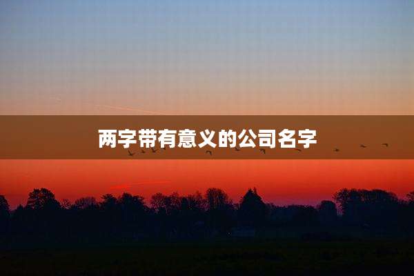 两字带有意义的公司名字